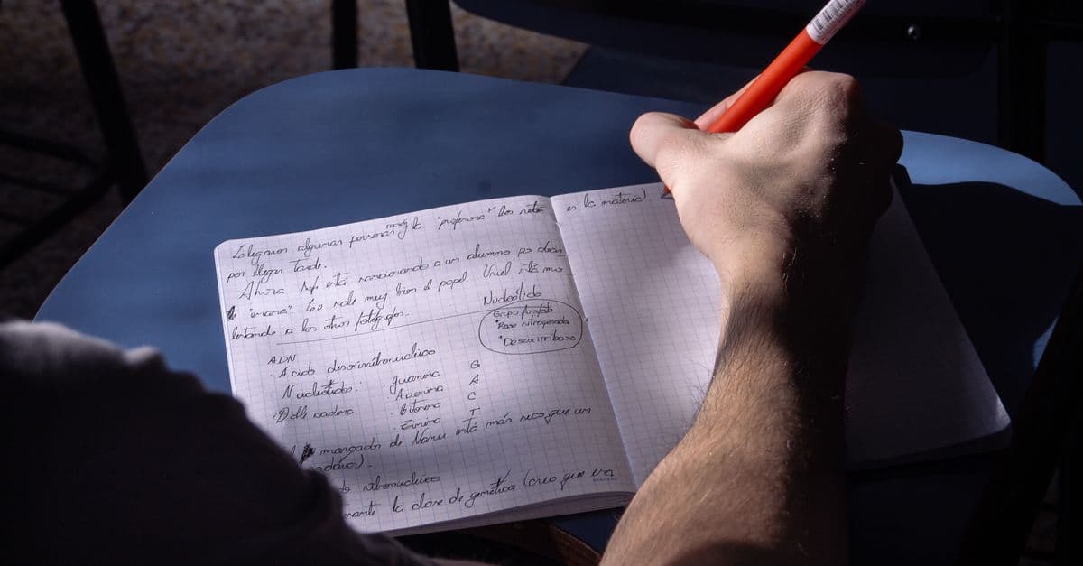 Estudante de inglês estudando com caderno — Reported Speech com She Said